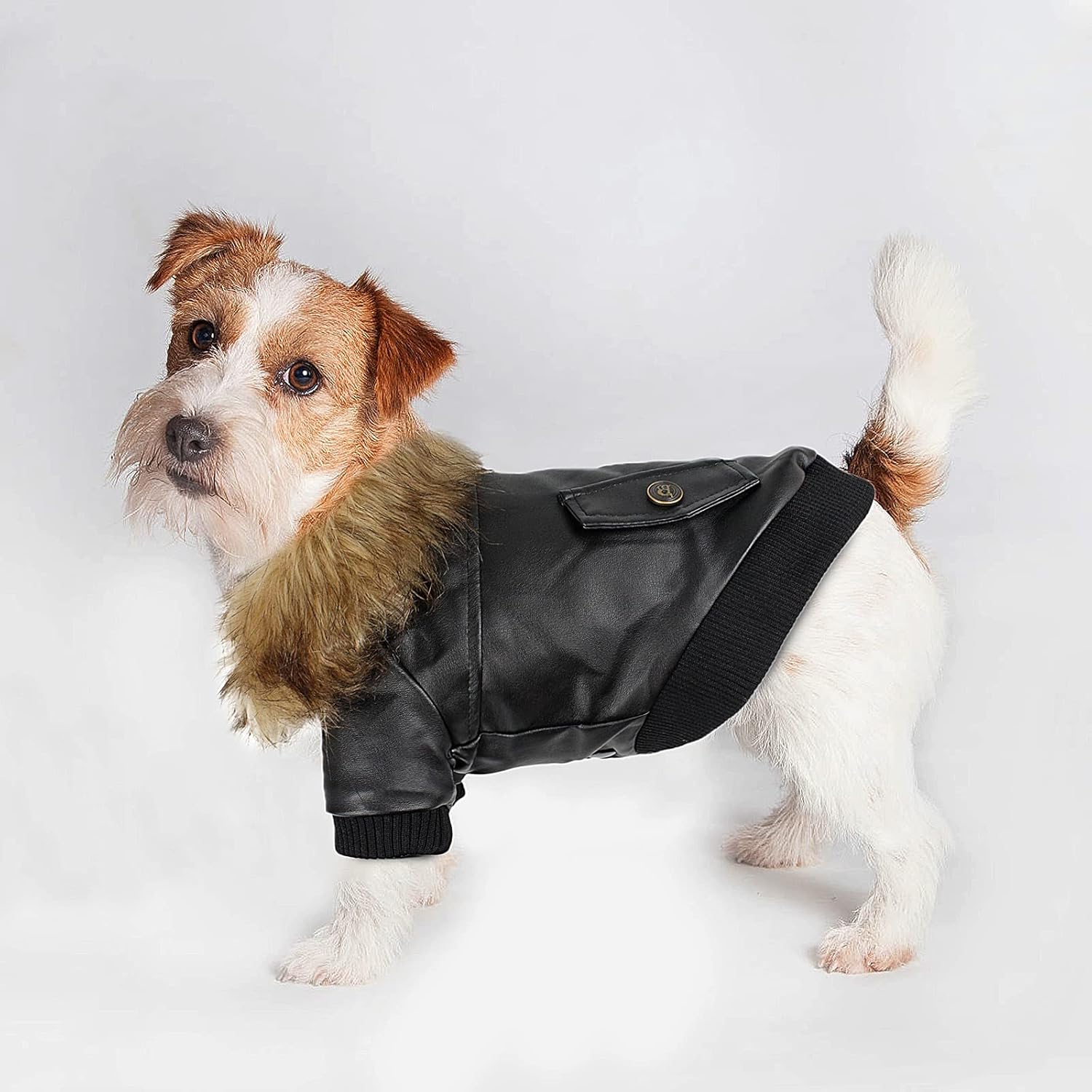 dog leather jacket amazon