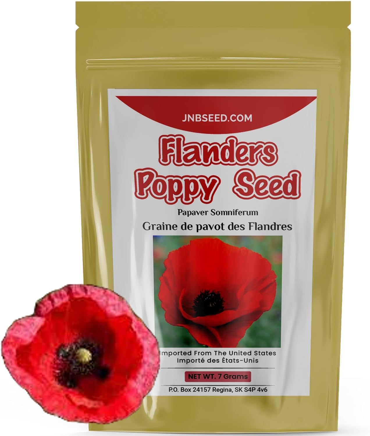 American Legion Flanders Red Poppy Seeds for Planting (Approx. 30,000 ...