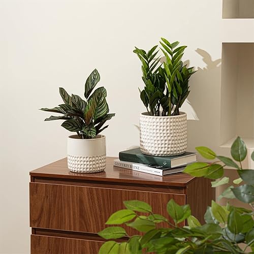 Miniatura 10 de La Jolie Muse Maceta de cerámica  Maceta cilíndrica con patrón de puntos cóncavos de 6.7 + 5.5 pulgadas con agujero de drenaje para interiores,