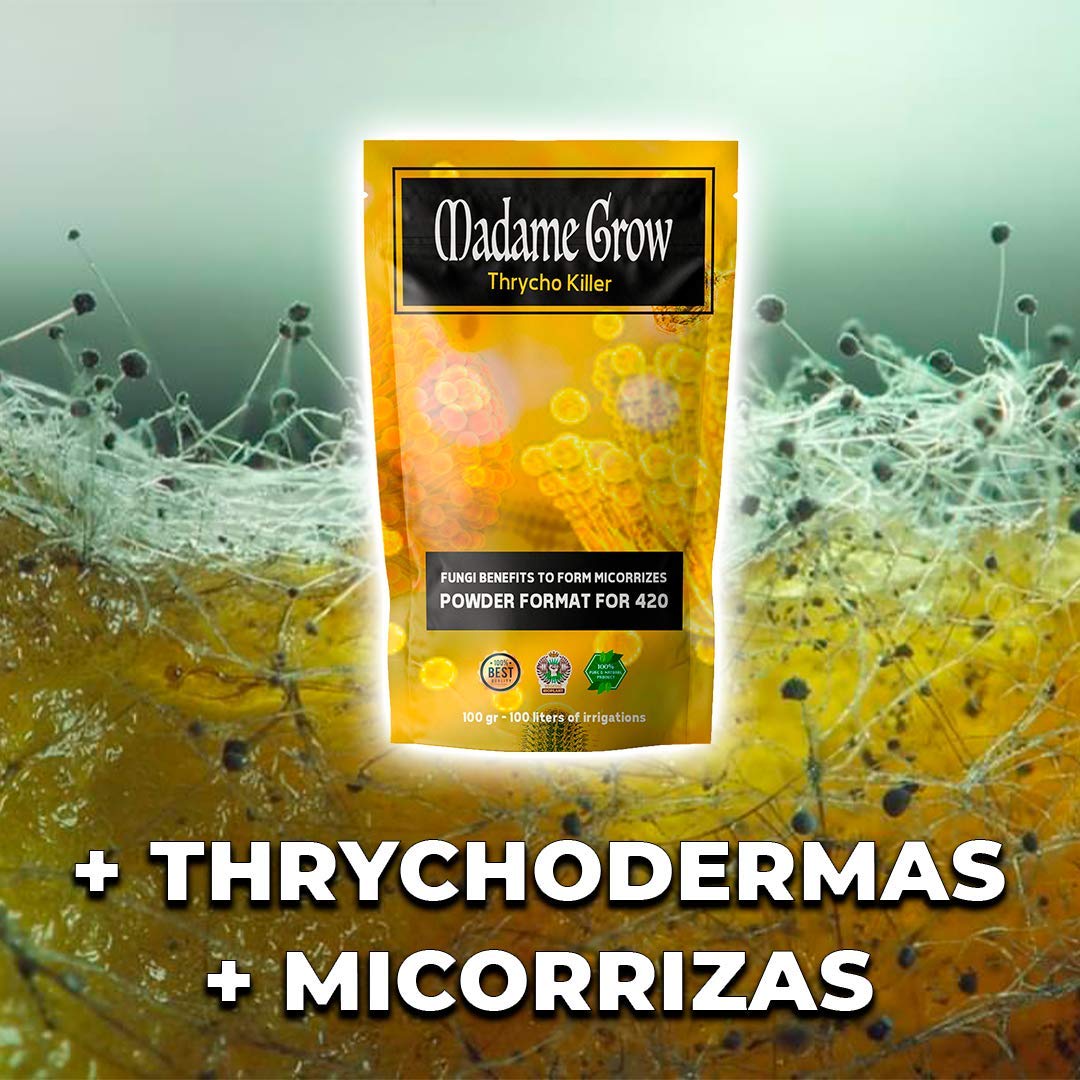 SIX PACK POWDER - Fertilizzanti Bio in polvere - idrosolubili in acqua - Piante Terapéutiche - Guano, crescita, Florazione, Energia e Micorza (500+3x100+50+30 g)