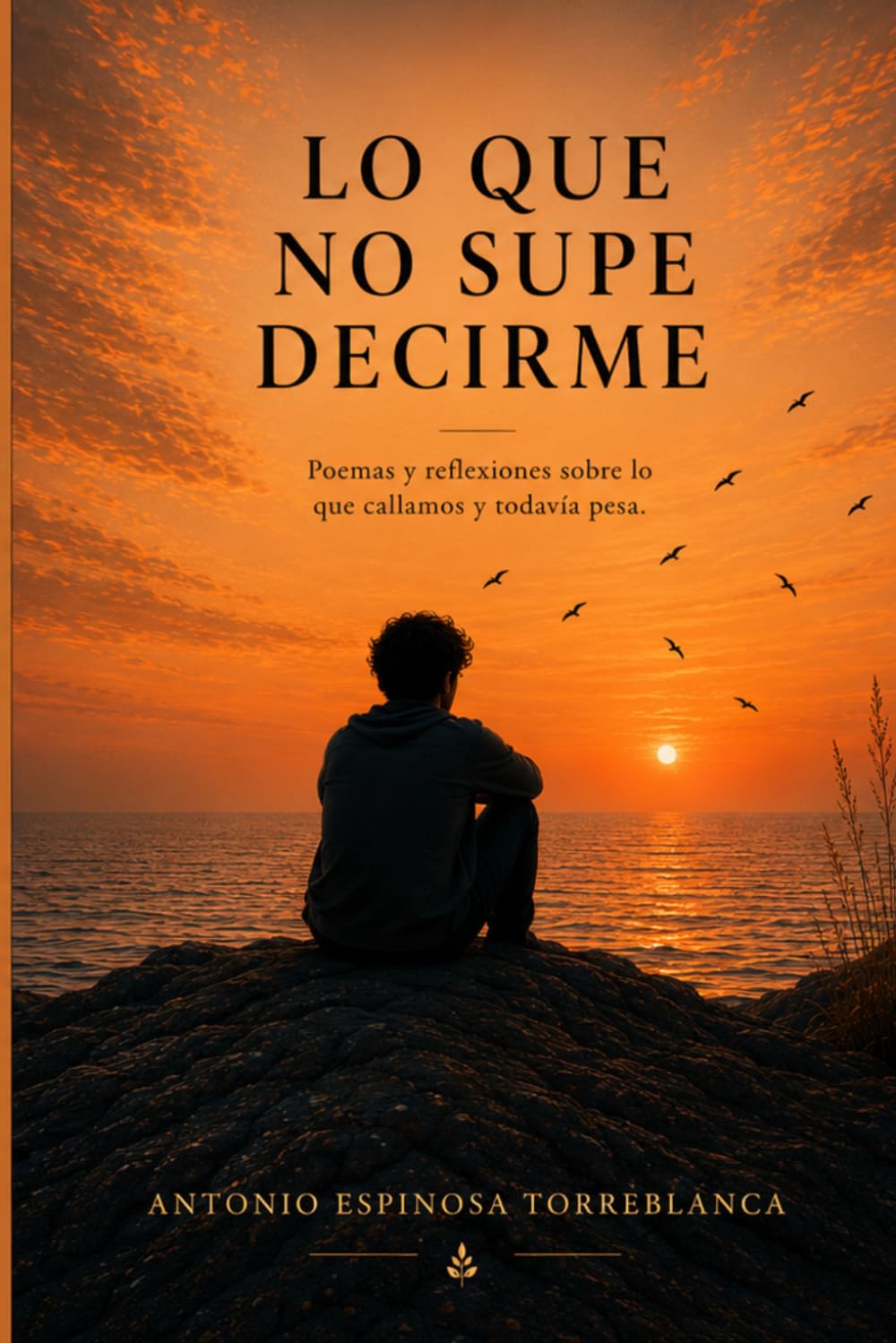 Lo Que No Supe Decirme