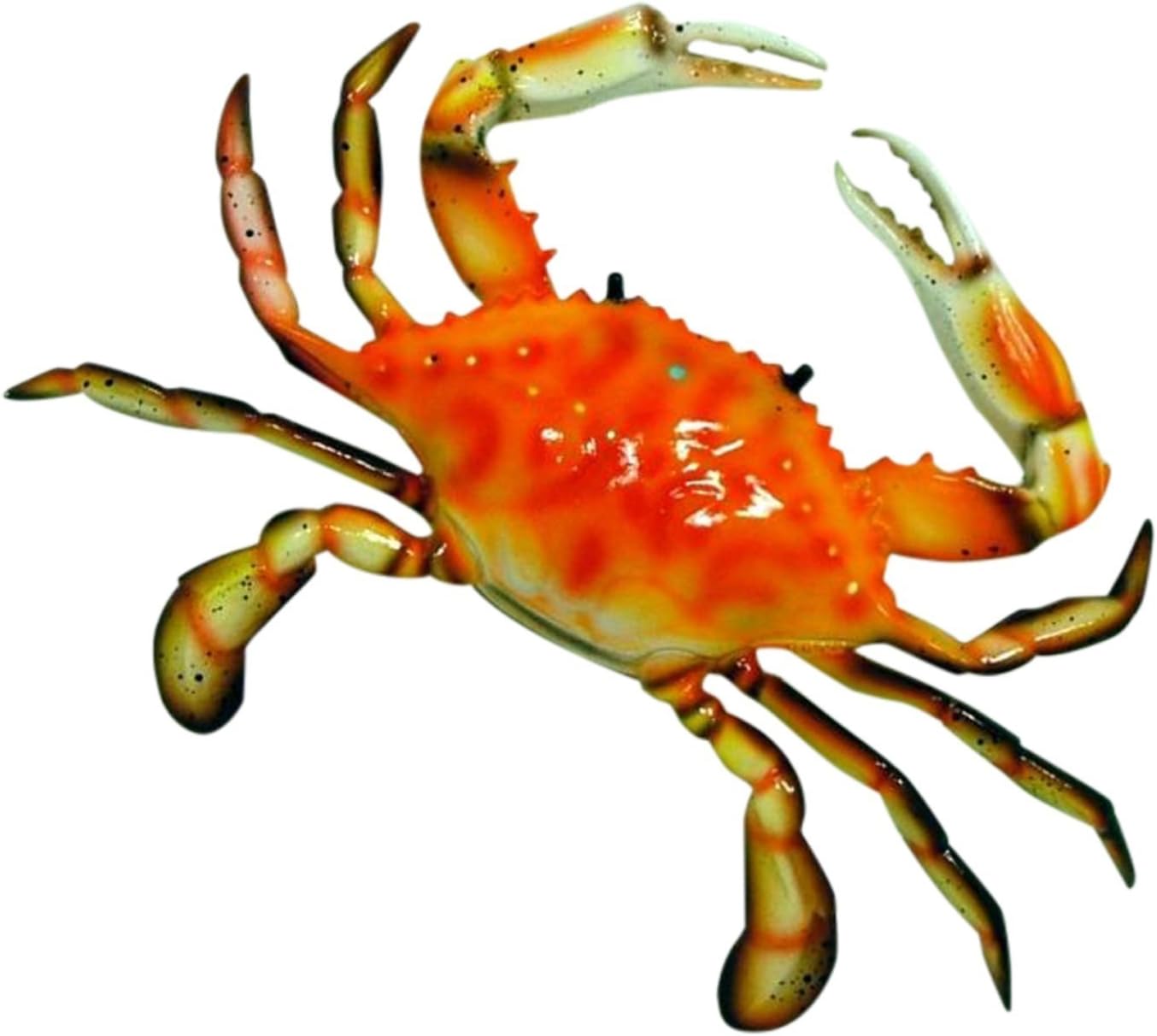 Charlotte International Coastal Maryland 10 Inch Steamed Red Crab Beach Bath Hall or Nursery Wall