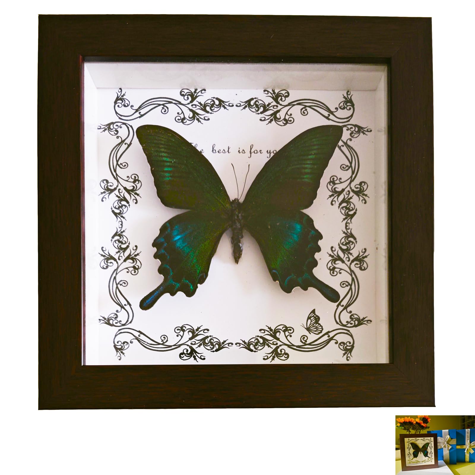DGFHOB Butterfly Wall Art,Butterfly Taxidermy, Gothic Home Decor for Wall Hanging and Tabletop Art Home Decoration (Green-banded Swallowtail)