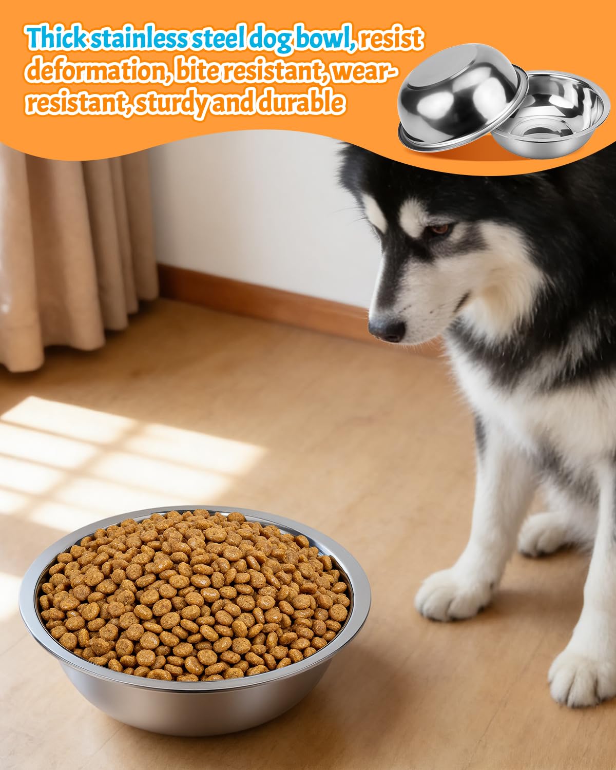 Set di 10 ciotole per cani in acciaio inox, 2,4 g/10,75 tazze, ciotole in metallo per cibo e acqua, ciotola grande per acqua o ciotola per animali domestici, per interni o esterni, lavabili in