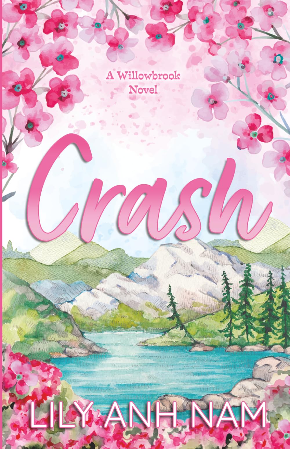 Crash: A small town grumpy sunshine romance: A Willowbrook Novel