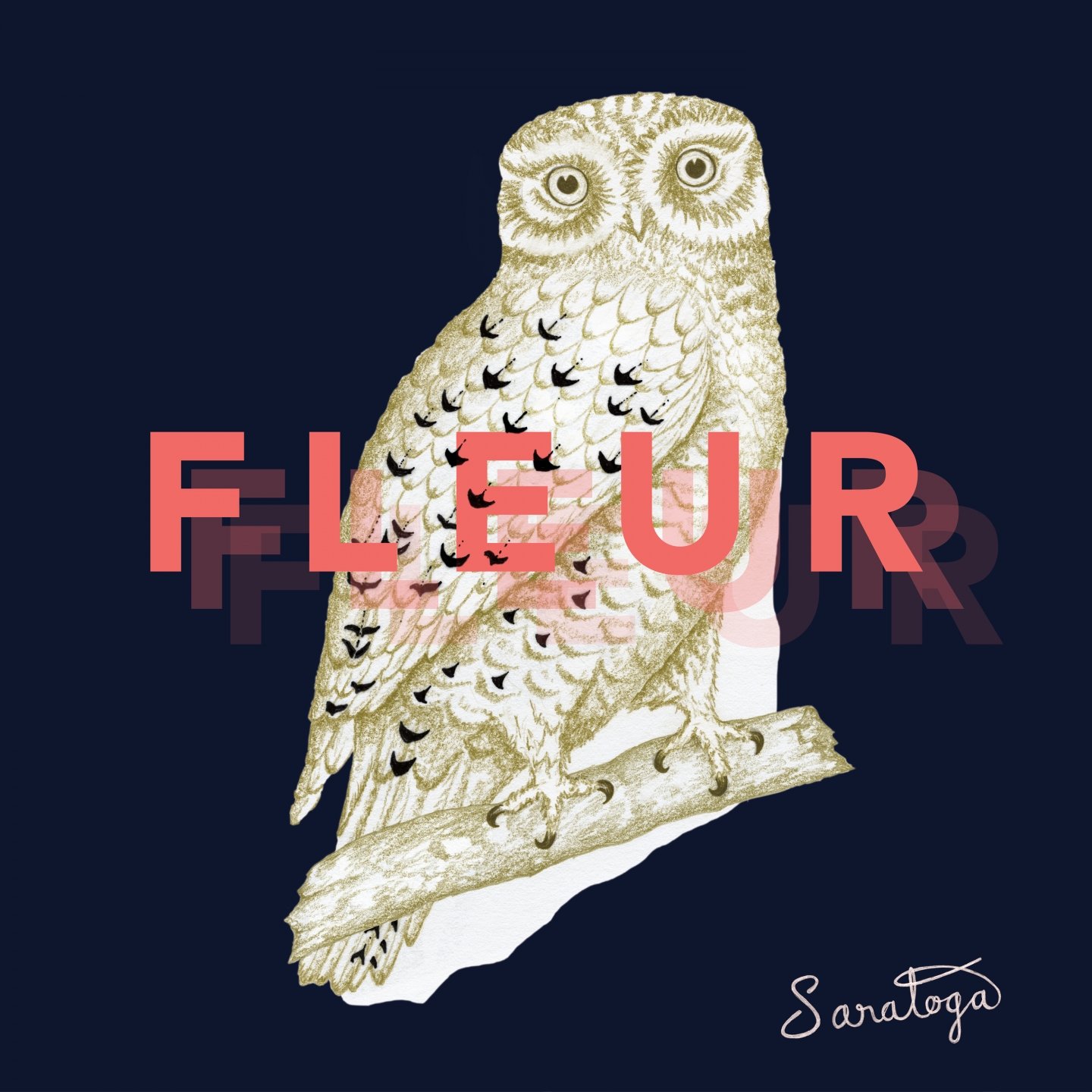 Fleur [Audio CD] Saratoga