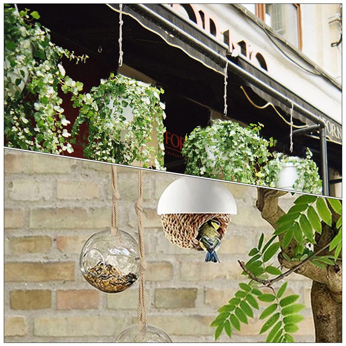 Hemobllo 3 Ensembles Holders De Pots Suspendus Macramé Corde Ajustable Pour Plantes Grimpantes Décoration Intérieure Extérieure Ropes De Suspension Robustes Élégantes 8 Pièces * 3