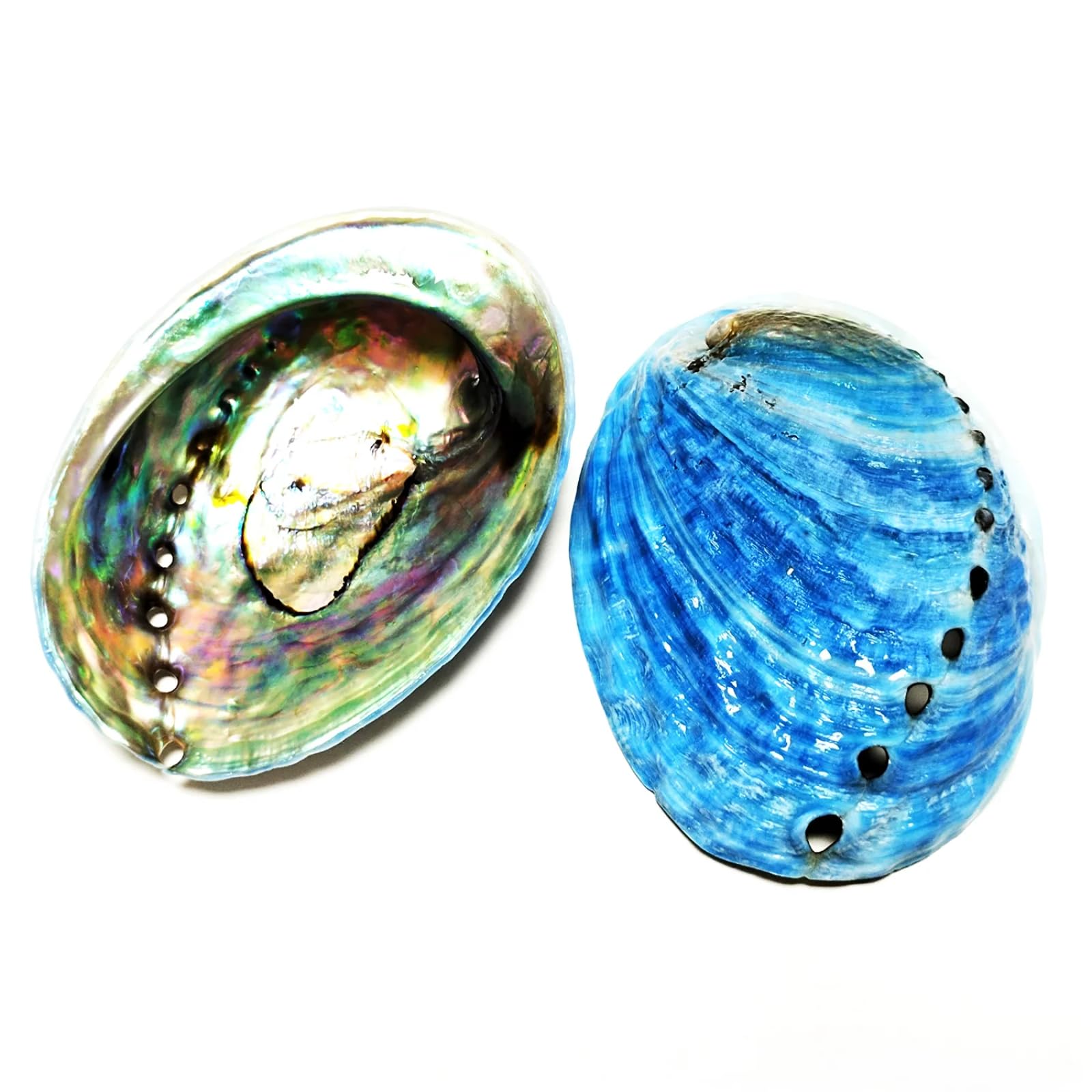 FOSANGNANTU Shells for Crafts,2Pcs 7-8cm Blue Abalone Seashell Natural Paua Shell Haliotis Iris Aquarium Landscape Seashells for Nautical Decor Jewelry Holder