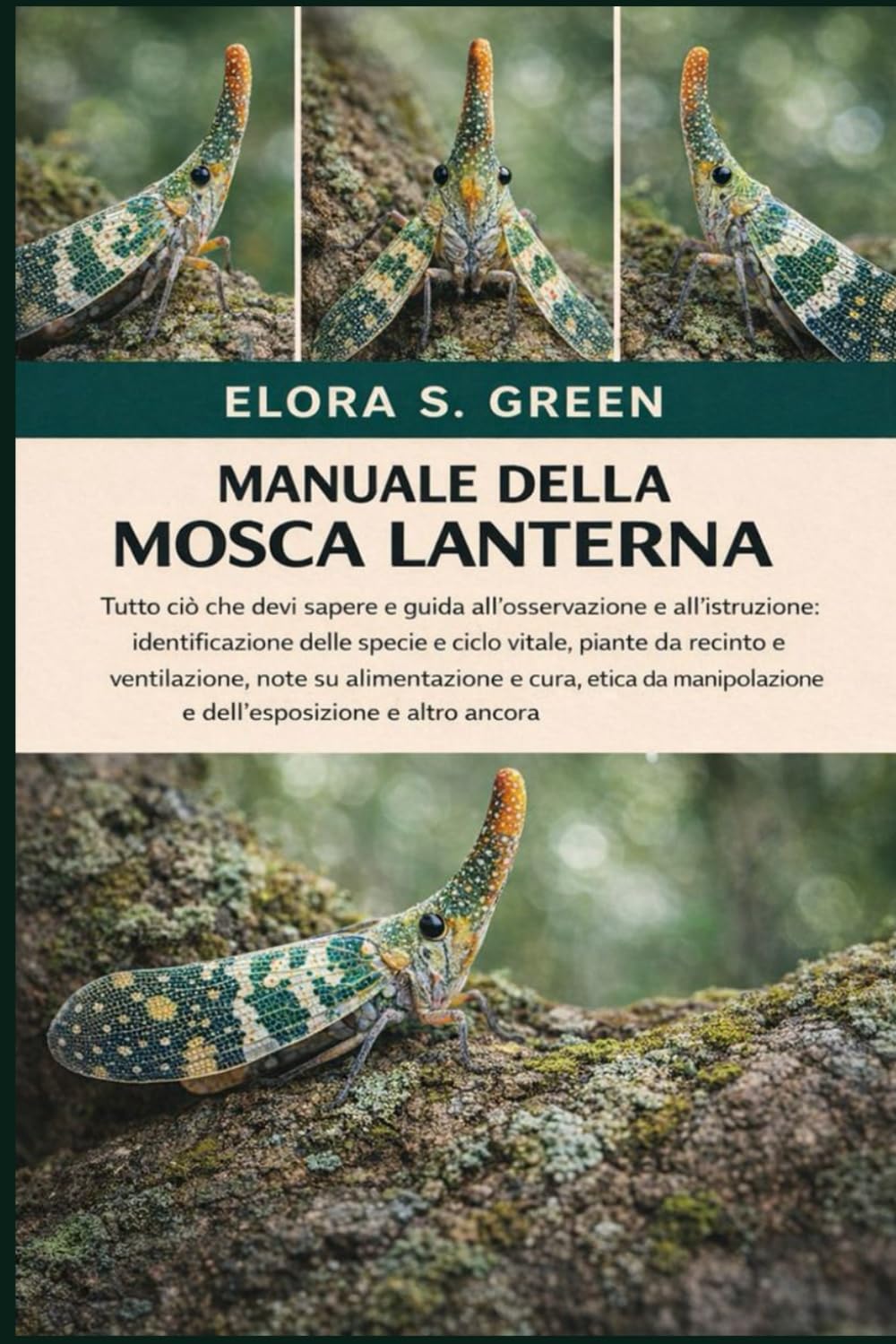 MANUALE DELLA MOSCA LANTERNA: Tutto ciò che devi sapere e guida all'osservazione e all'istruzione: identificazione delle specie e ciclo vitale, piante ... etica della manipolazione e dell'esposizion