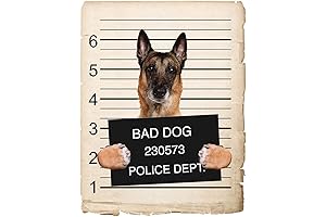 Belgian Malinois Mugshot Bad Dog Fridge Refrigerator Car Magnet Bumper Sticker