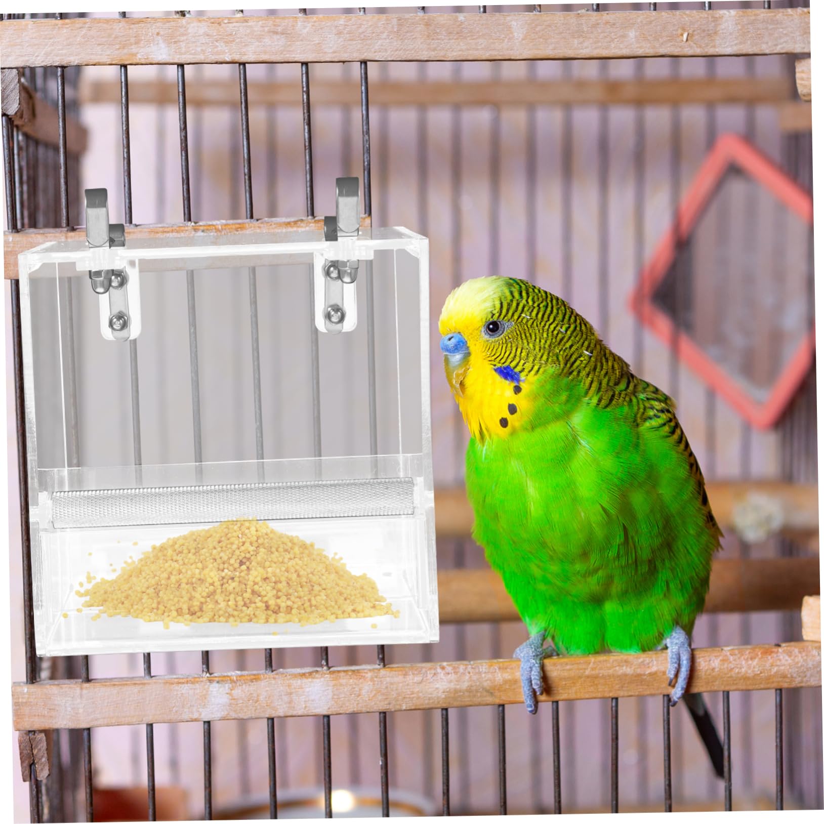 Mangiatoio Automatico per Pappagalli in Plastica, Ciotola | Piccoli Uccelli, Design Sospeso, Facile da Installare, Pulizia Semplice per Uso in Gabbia e Casa