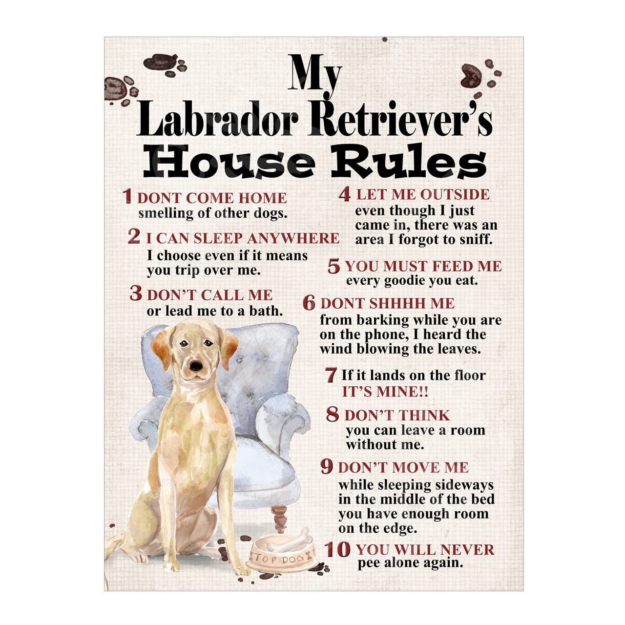 Metal Sign Plaque Dog House Rules My Labrador Retriever's Pet Home Bar Man Cave Garden Shed Garage Pub Decor Shed Garage size 10x8in ref8333