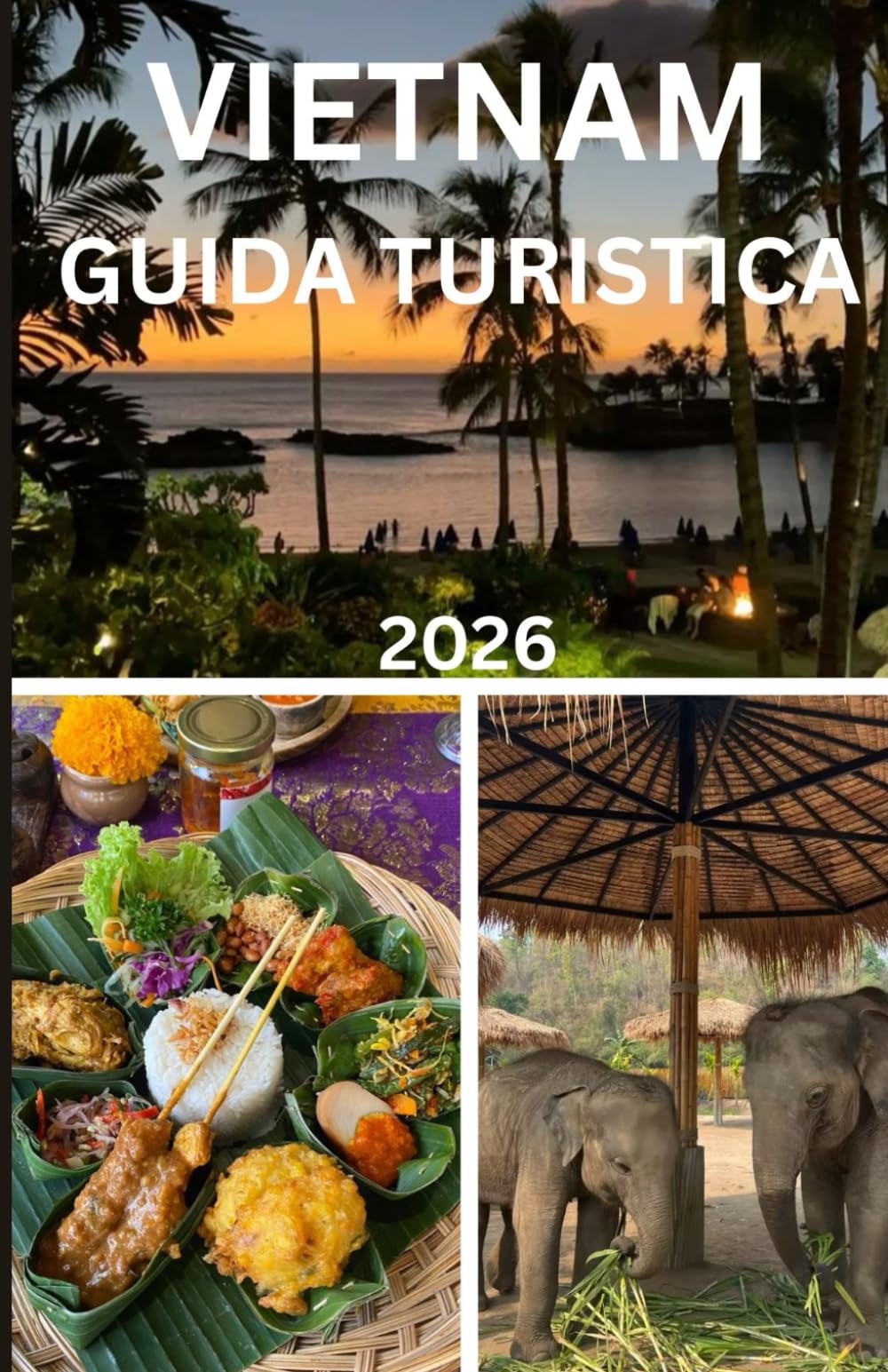 Vietnam guida turistica