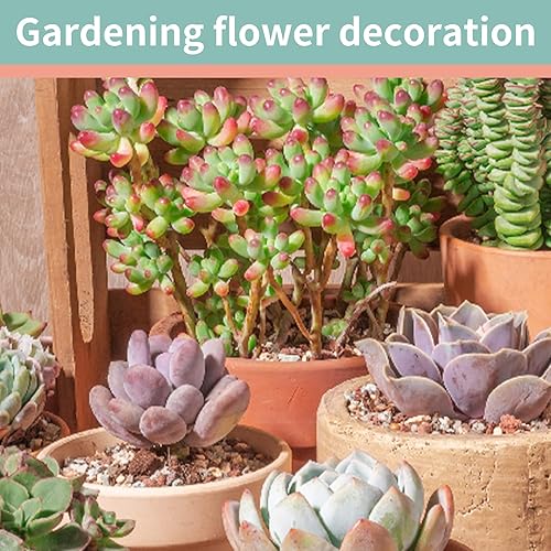 Miniatura 7 de Color Lava Rocks - Mezcla de tierra para macetas hortícolas, piedras arenosas, piedra pómez, roca volcánica para suculentas, cactus, bonsái, aderezo