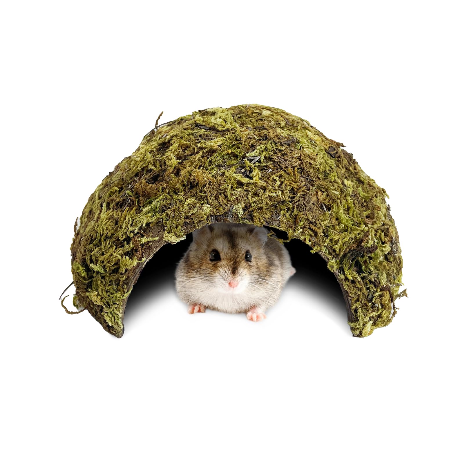 Souris et gerbille stressées ? Offrez cette cachette pour hamster en noix de coco