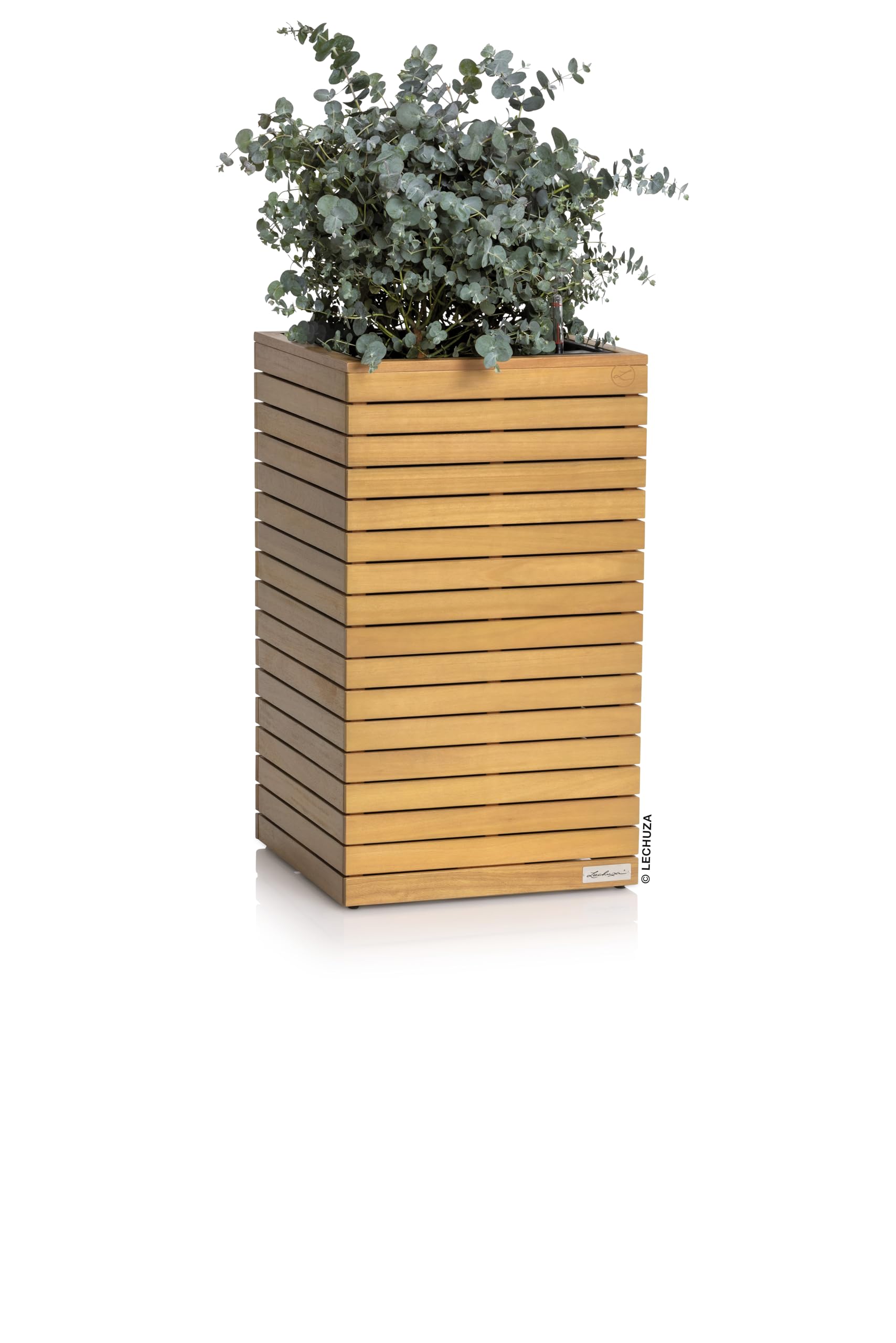 LECHUZA-Pflanzgefäß PALO Natural Wood 45 high Eukalyptusholz, Pflanzgefäß mit Bewässerungssystem, Wasserstandsanzeiger und Pflanzeinsatz, Echtholz-Oberfläche, 44 x 44 x 77 cm, 16773