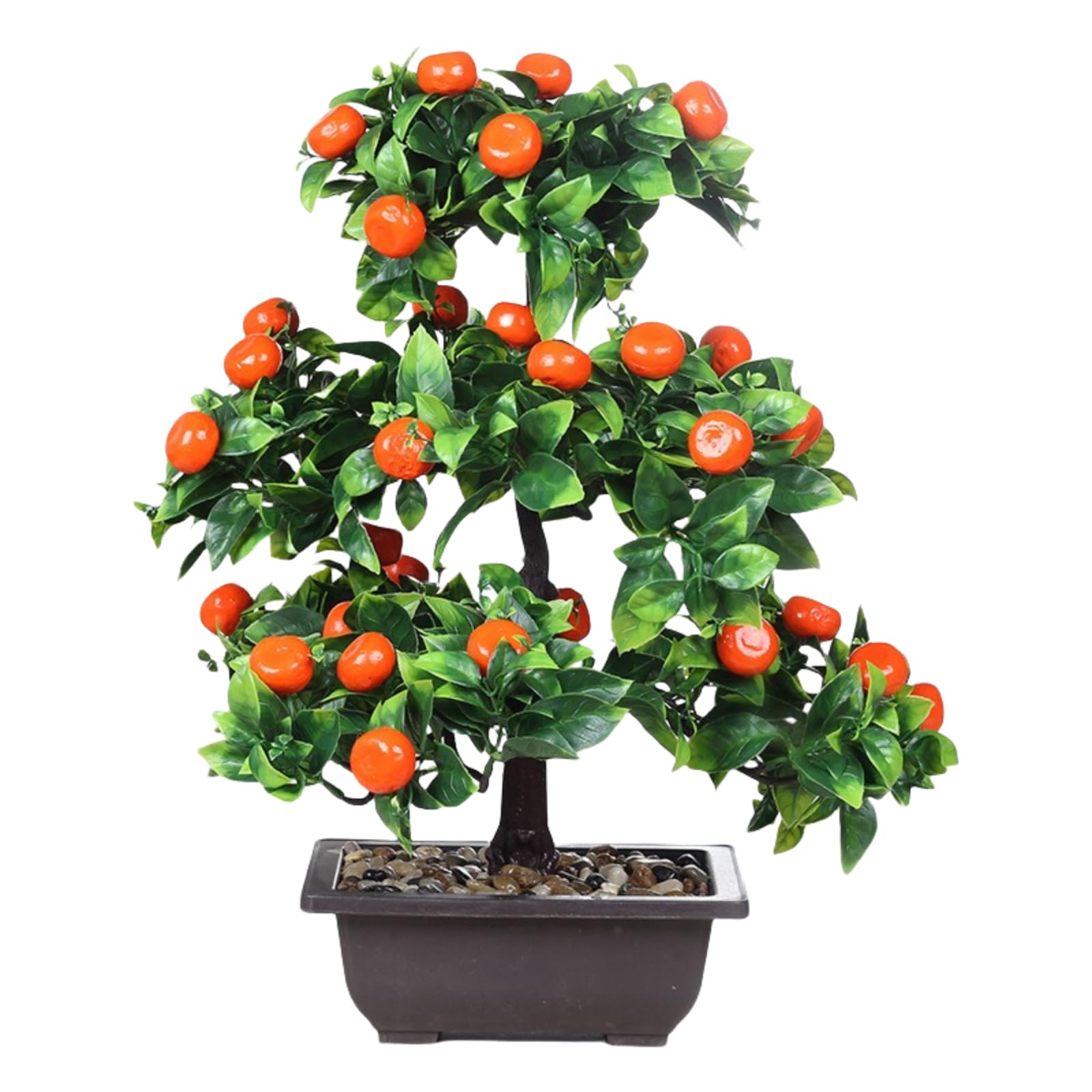 Plantes d'intérieur arbre fruitier en pot pour verdir un espace sans lumière