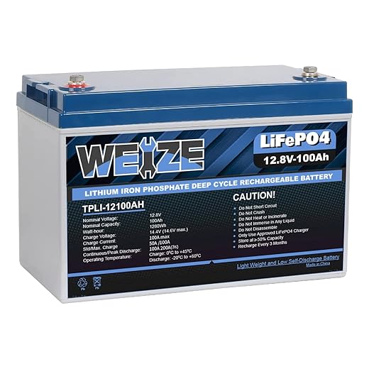 Weize 12V 100Ah LiFePO4 with BMS