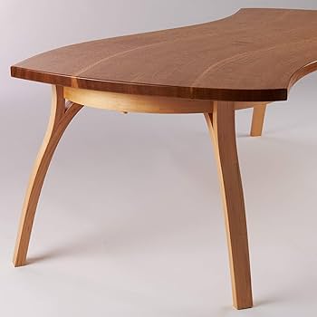 Amazon.co.jp: EX Steam Generator: ホーム＆キッチン