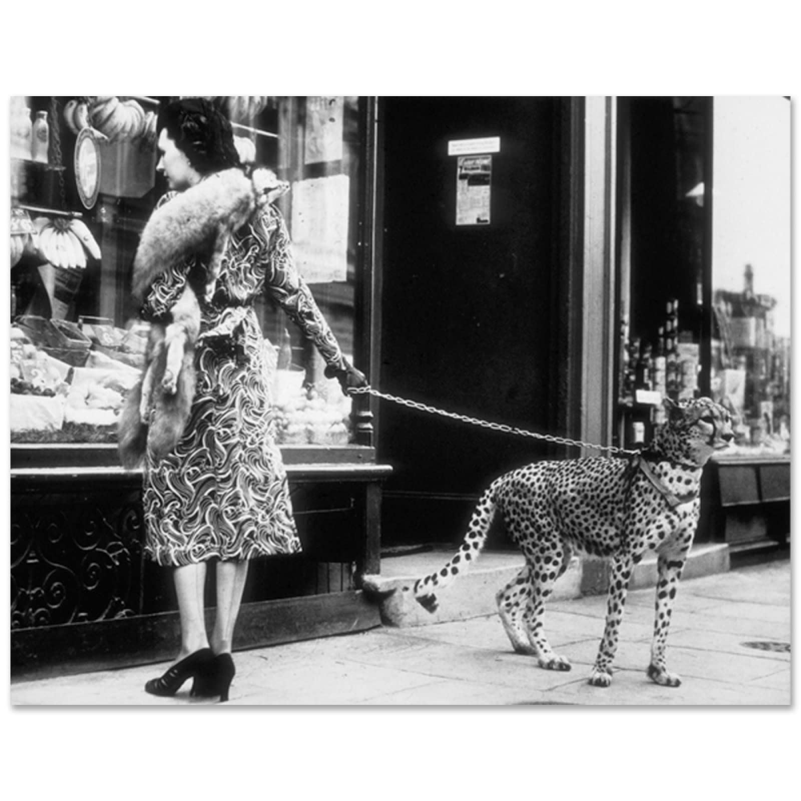 Guying Art Frameless Vintage Lady And Cheetah Leopard On A Leash Print Poster Animal Photo Black And White Canvas Painting Wall Art Decor 60X80cm(24X31in)