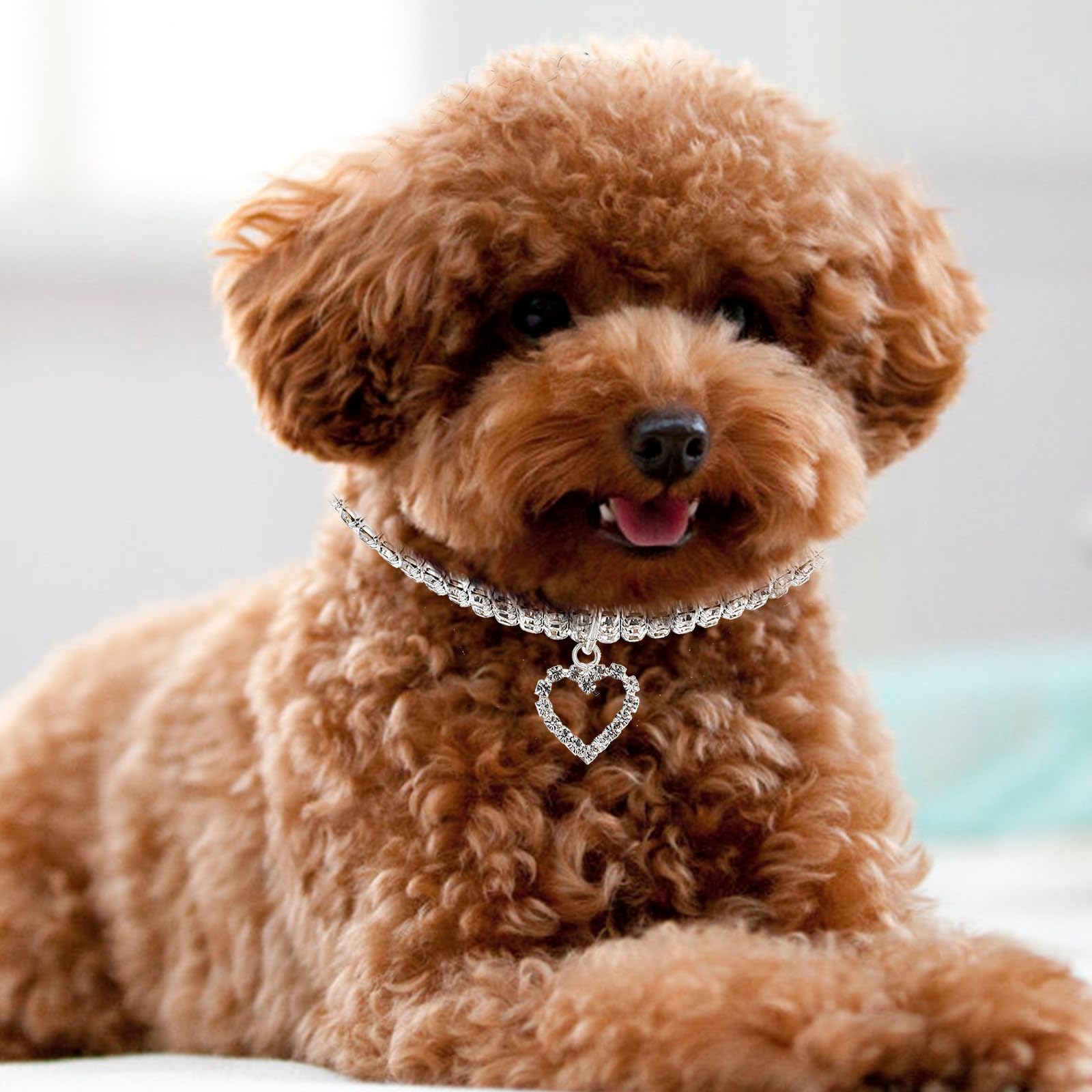 Collare per Cani Cuccioli con Pietre Decorative Elastiche Bianche con Ciondolo a Forma di Cuore Facile da Mettere e Protezione per Collo del Cane