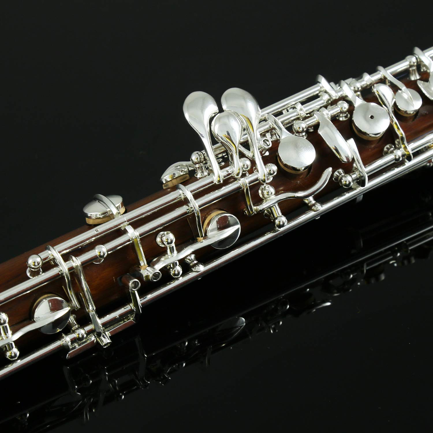 Amazon | Rochix Oboe プロフェッショナルパフォーマンスレベル RHS13