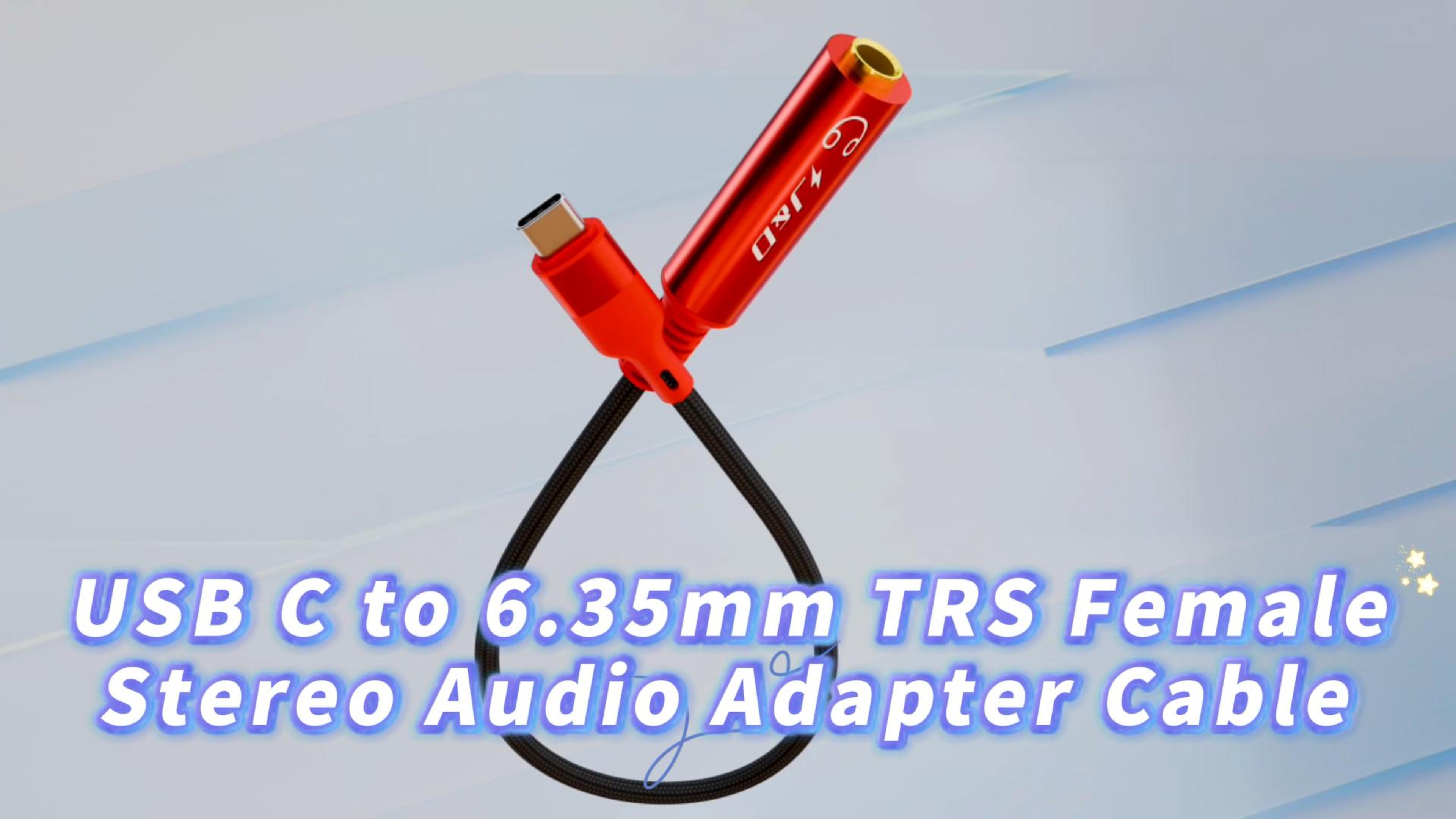 J&D Cavo Audio Stereo TRS USB C a 6,35 mm, Cavo 2 in 1 con Pulsante di Commutazione, Supporta Registrazione e Riproduzione, Compatibile con iPhone 15/16, MacBook, iPad, Nero, 2 M