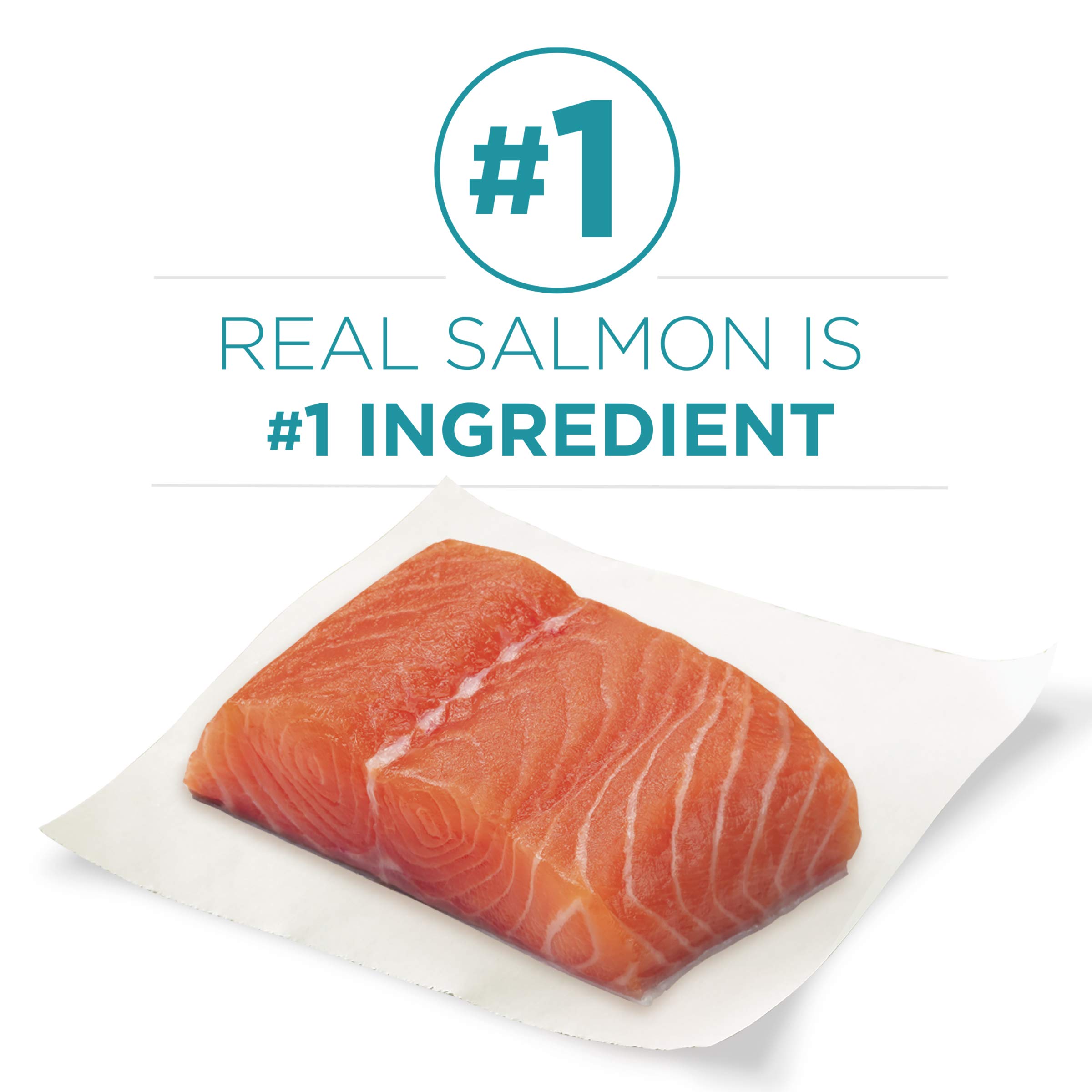 Buy Purina ONE Natural Dry Cat Food, Tender Selects Blend With Real