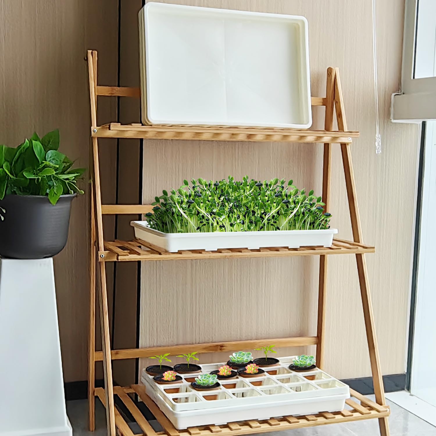 Snapklik.com : RooTrimmer 5 Pack Nursery Pot Tray, Carrying And Holding ...
