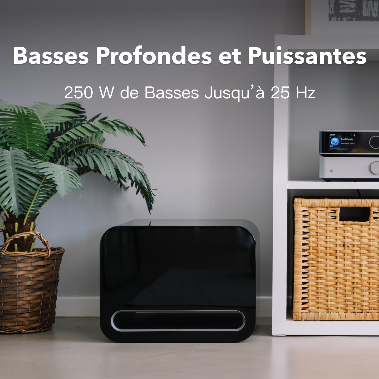 WiiM Sub Pro Caisson de Basses sans Fil Intelligent 8" 250 W AI RoomFit Wi-Fi 6 BT 5.3 Noir