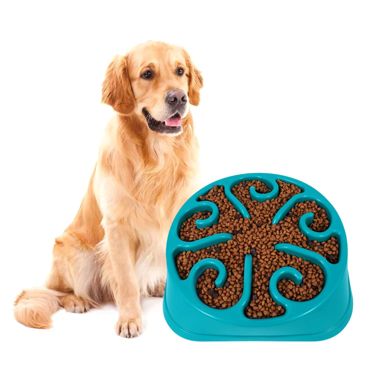 Is A Dog Eating Too Fast Bad