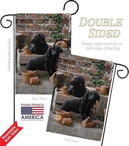 Miniatura 10 de Paquete de banderas de jardín de cachorros de laboratorio negras con diseño de perros y cachorros, patas arruinadas, piel canina, mascota,