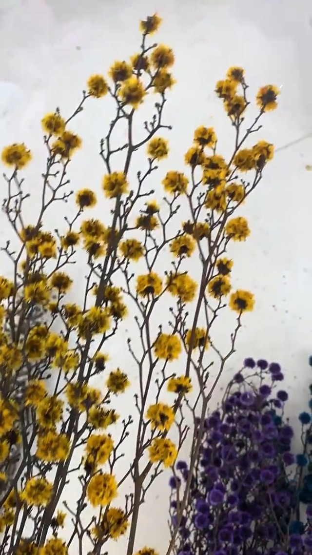 Ramo de flores secas cardo 23 pulgadas miniatura 7