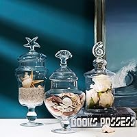 Vista 2 de MyGift Tarros de boticario de vidrio transparente con tapa, recipiente decorativo de baño con diseño de conchas marinas, recipientes para bufé