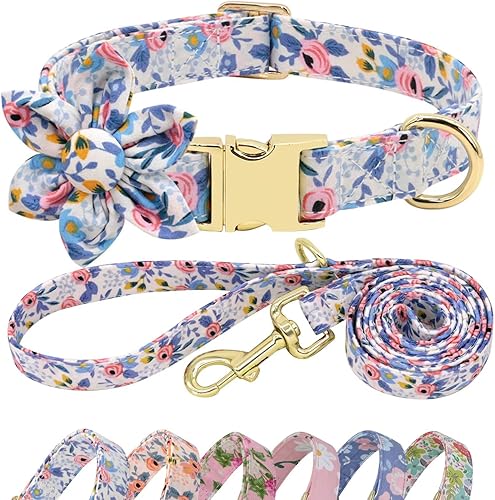 Beirui Lindo juego de collar y correa para perras hembras, collar floral de perro con flor para perros pequeños, medianos y grandes, cachorro, S
