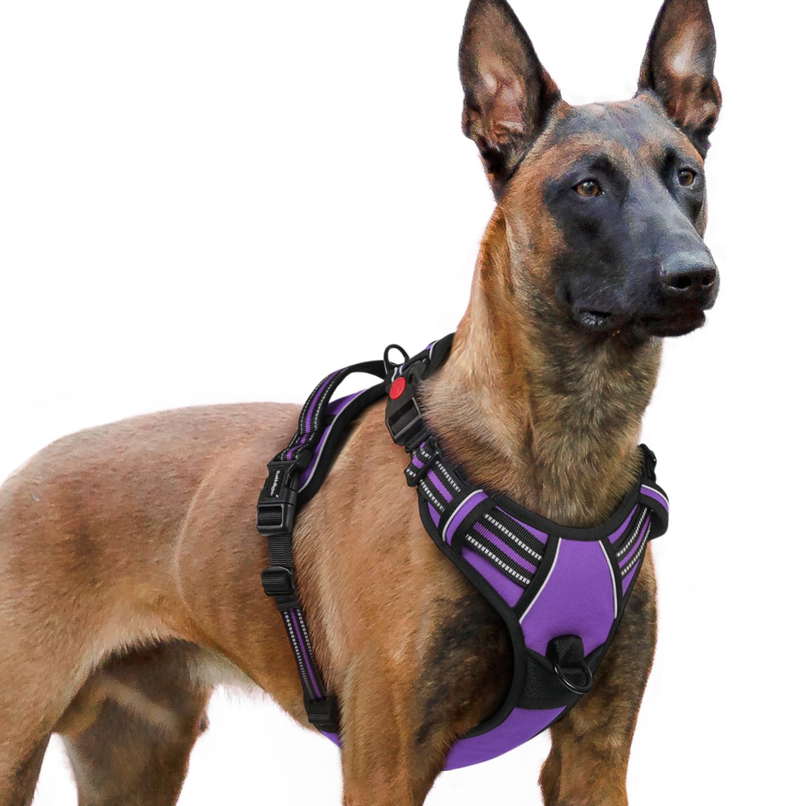 rabbitgoo Hundegeschirr Kleine Hunde, Verstellbare Geschirr Hund ohne Zug & Würgen, Anti Zug Hundegeschirr mit Griff, weich Gepolsterte Reflektierende Brustgeschirr