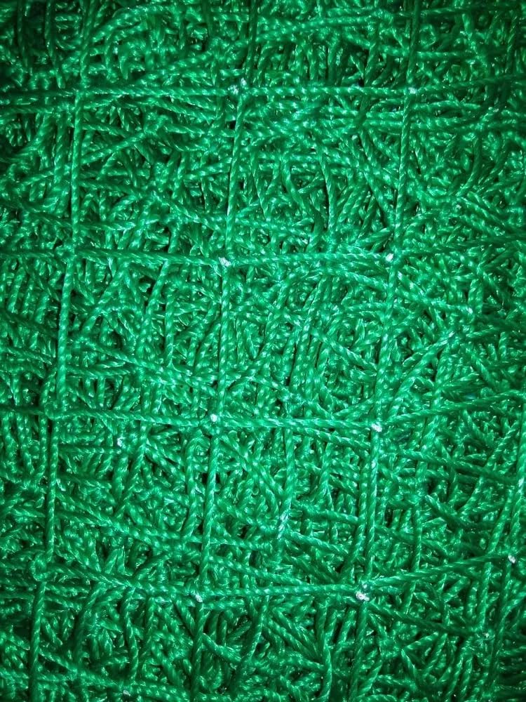 Azure Sports Nylon Cricket Net for Regular Practice/Training for Outdoor Sports Size (40x10 Feet) (B0CKRJJKCH) Amazon Price History, Amazon Price Tracker