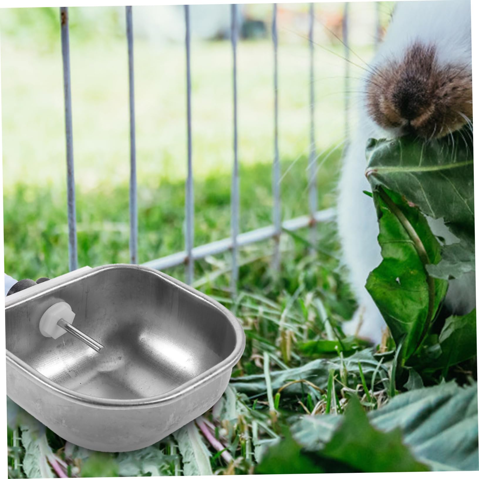 VANZACK 6pezzi Distributore Automatico Per Conigli Ciotola Inossidabile Da Facile Da Installare e Utilizzare Per Gabbie Di Piccoli Animali Domestici