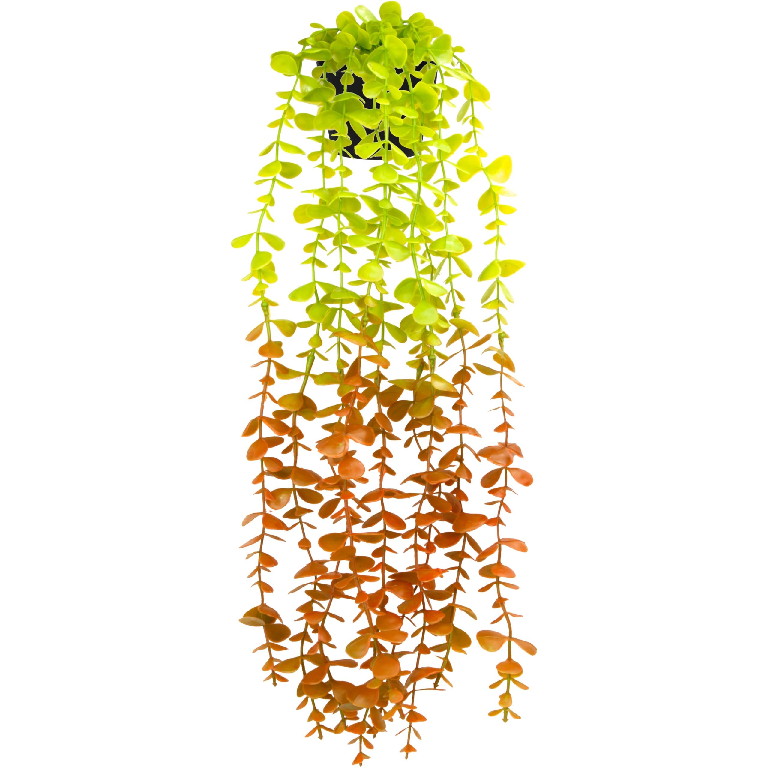 Palonu Artificial Hanging Plants for Shelf, 1 Pack Fake Potted Greenery Plant Faux Red Eucalyptus Vine in Pot for Home Décor