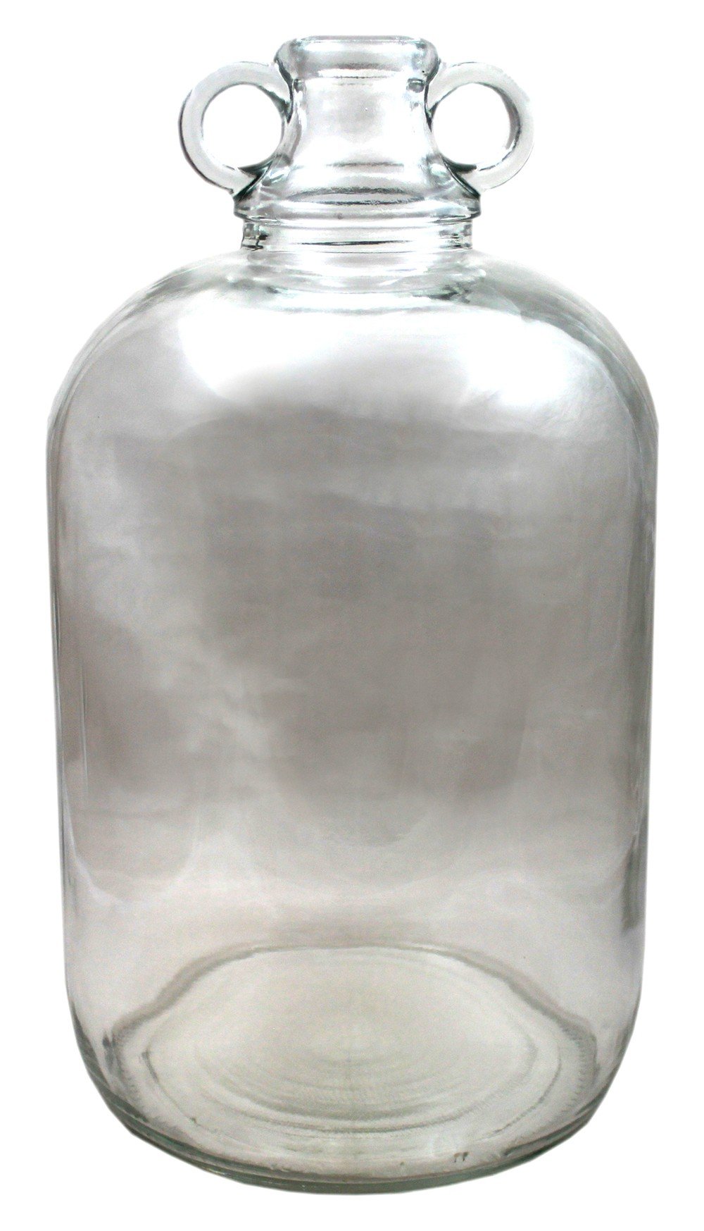 Glass 1 Gallon Demijohns