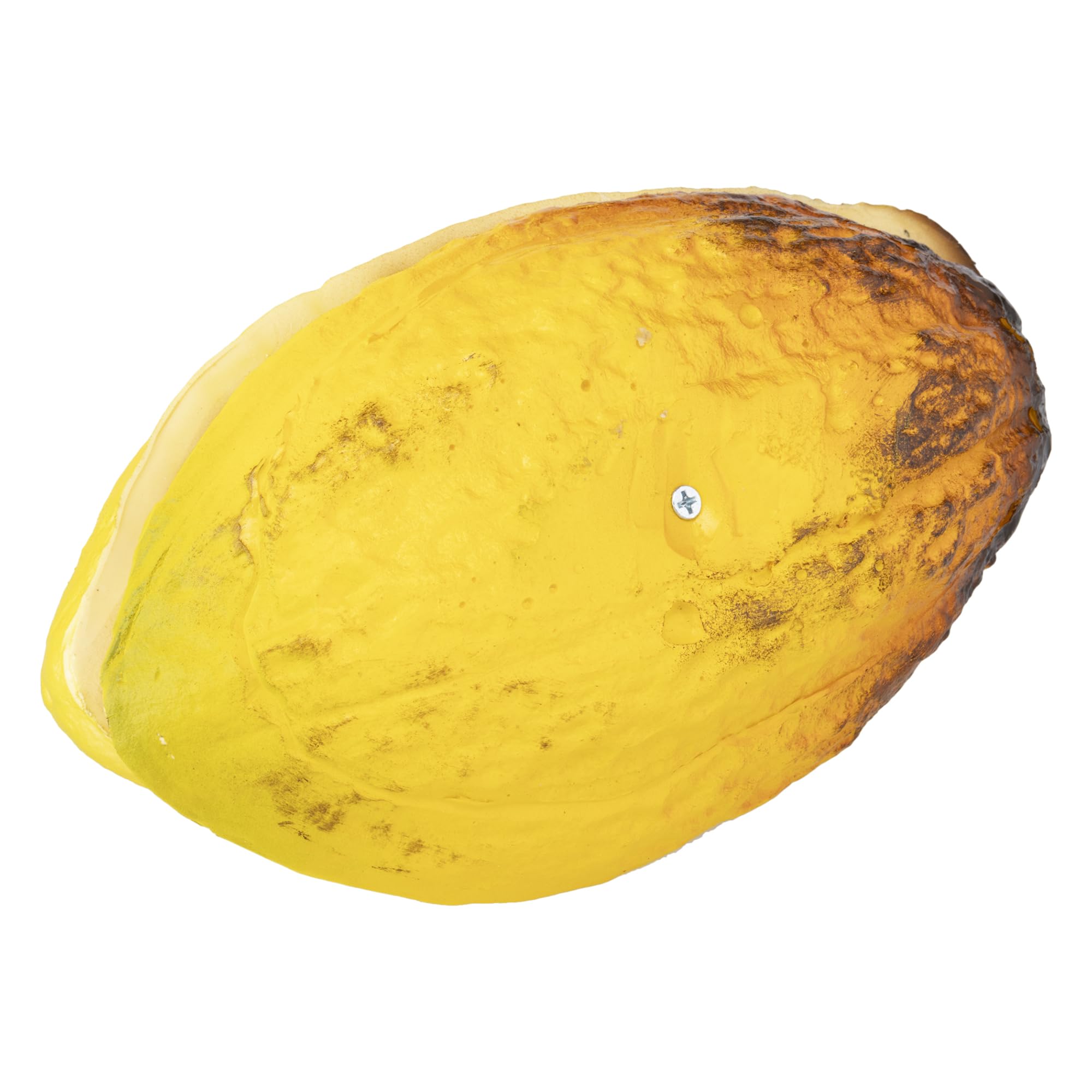 Amazon | 日本サンプル(Nihon Sample)食品サンプル カカオの実 果物