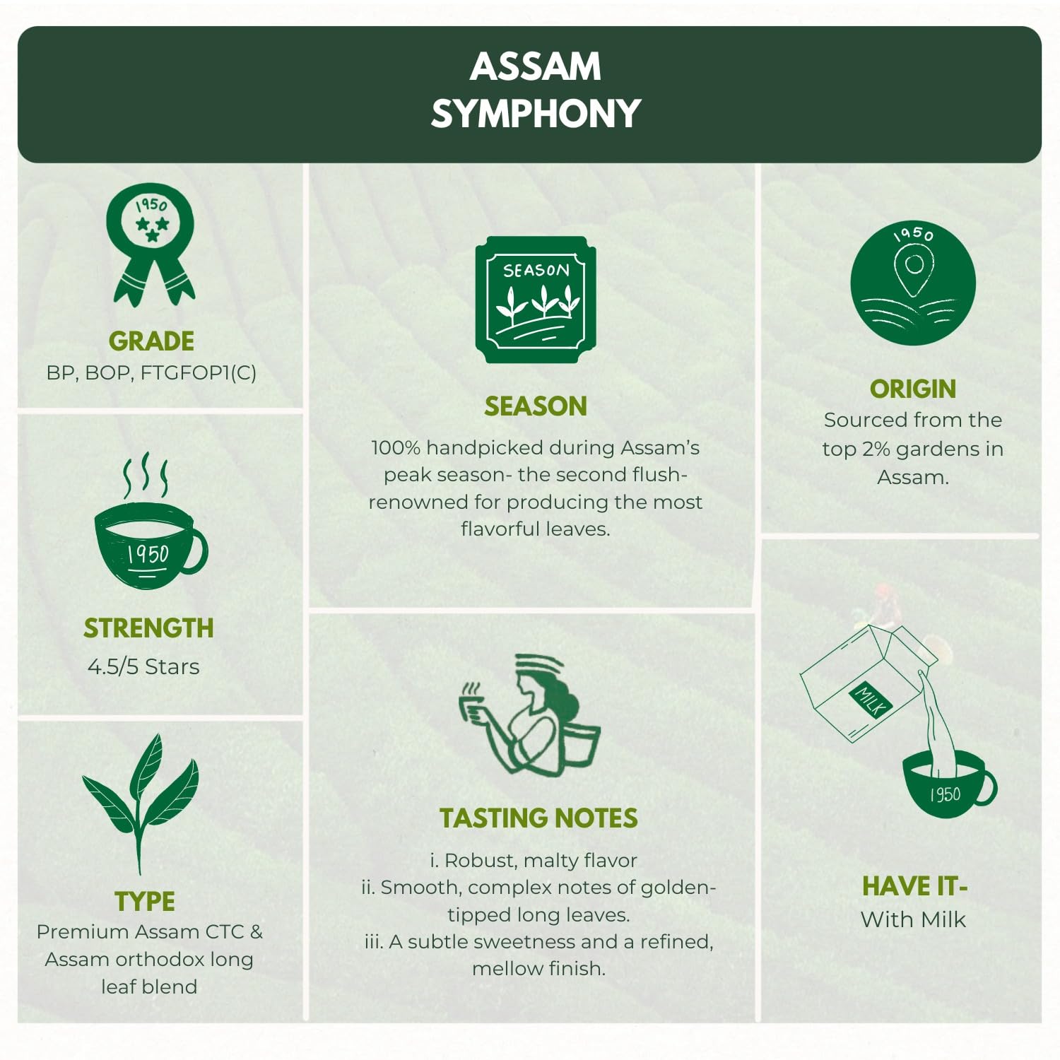 1950 Origins Assam Symphony long leaf Tea and CTC Tea Bleand, 150g Tin Caddy | Indian Authentic Kadak Chai | Strong & Fresh |100% Natural Premium Loose Leaf Black Tea 4