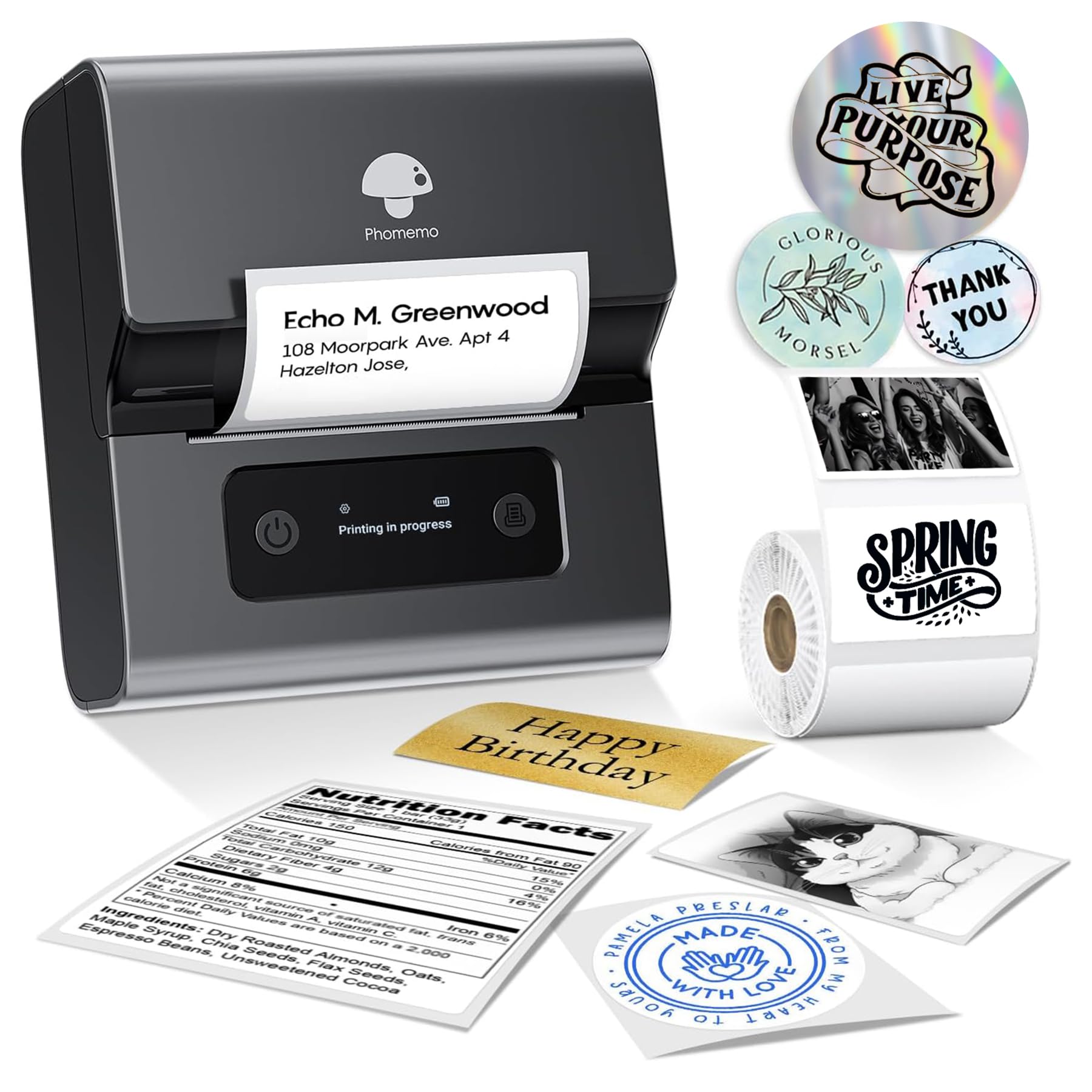Phomemo Label Printer M221-3 Inch Small Address Label Maker,