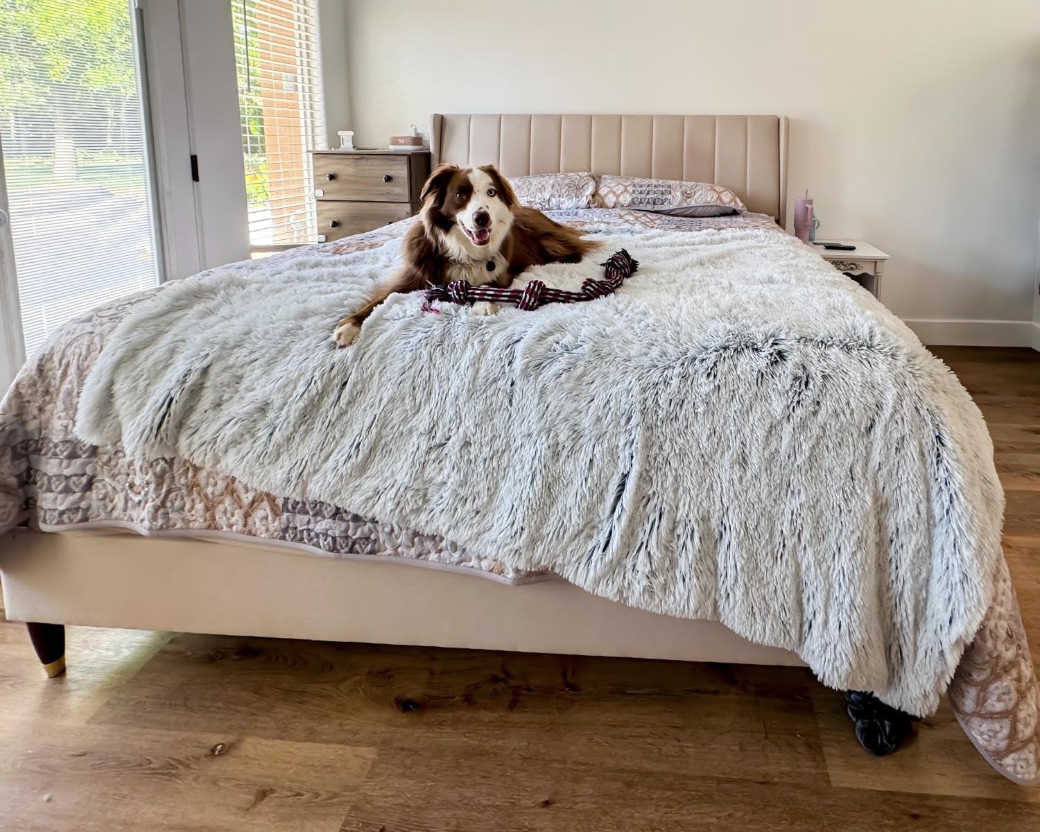 PJYuCien Dog Blankets for Large Dogs Washable - Fluffy Fuzzy Cat Blanket for Couch, Puppy Throw for Furniture with Polyester Fleece, Super Soft Plush for Pet Kitten Doggy, Grey, 60" x 80"