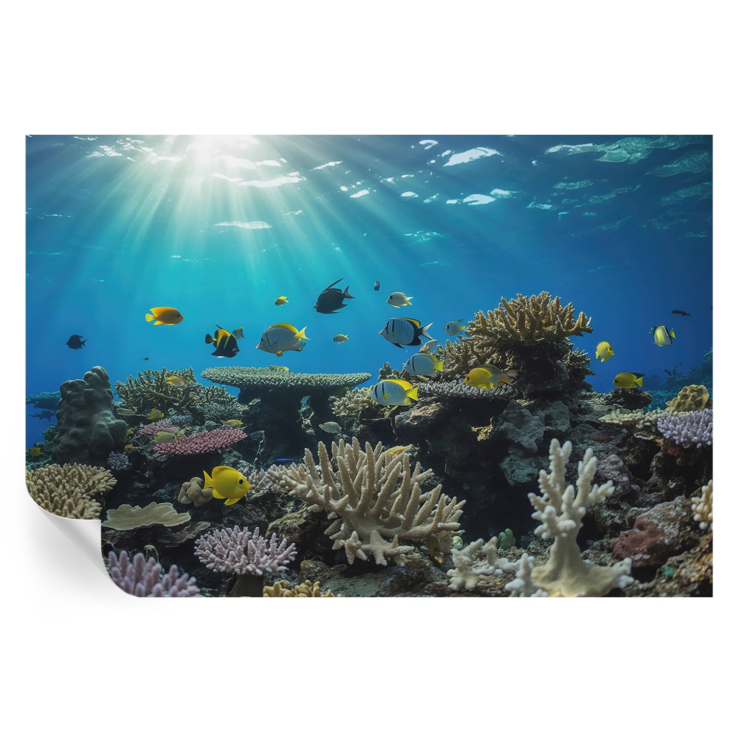 Mundo submarino en vinilos decorativos de 104x70 cm con ilustraciones de alta nitidez