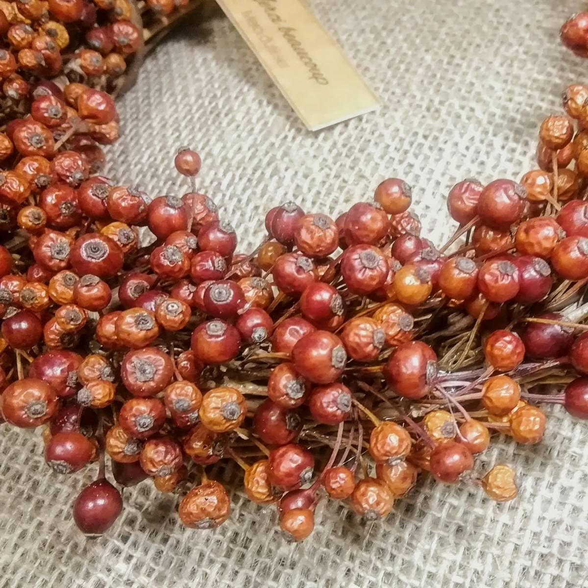 Amazon.co.jp: ノーブランド品アンティークカラーサンキライと野ばらの