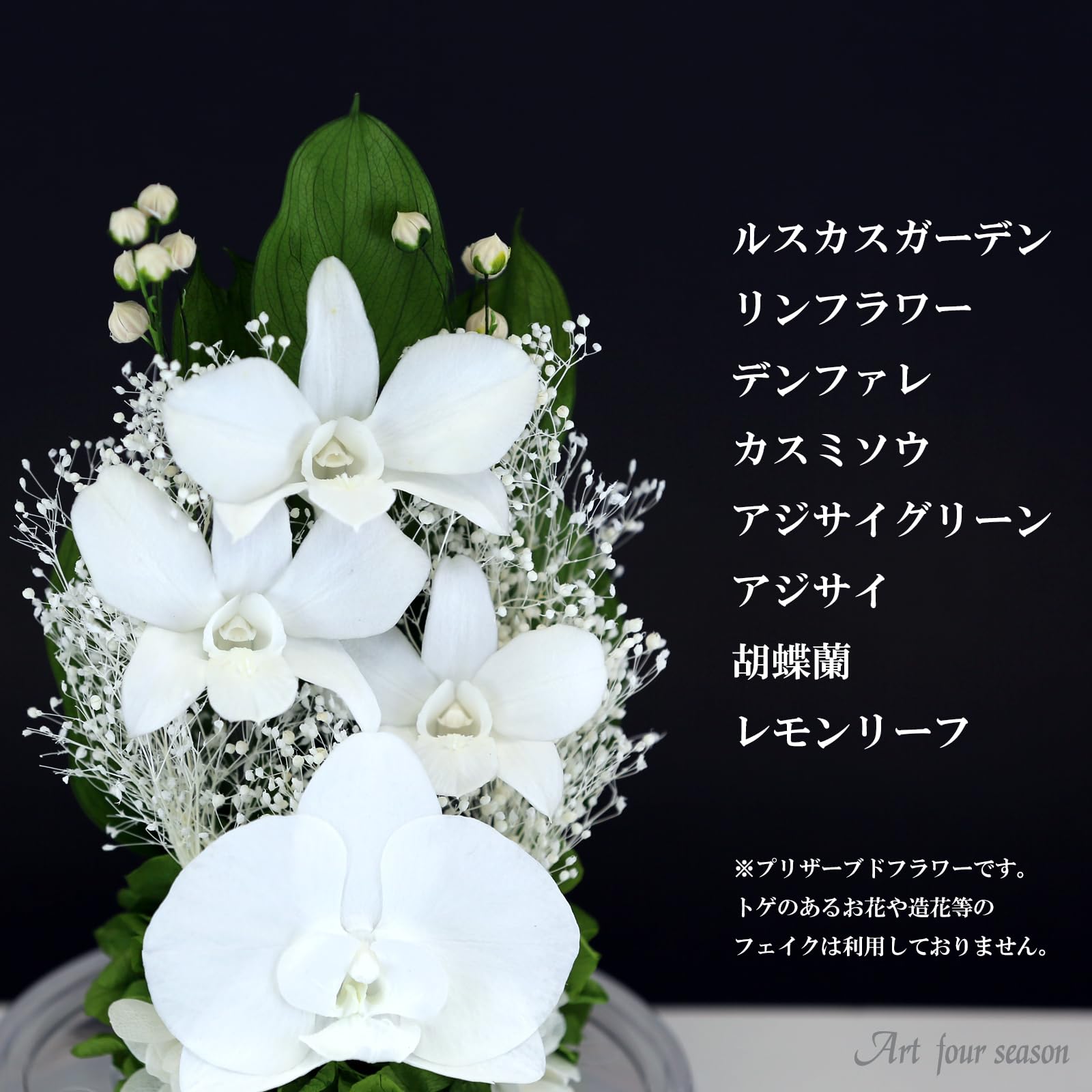 Amazon｜アートフォーシーズン 胡蝶蘭デンファレドーム 対デザインSET