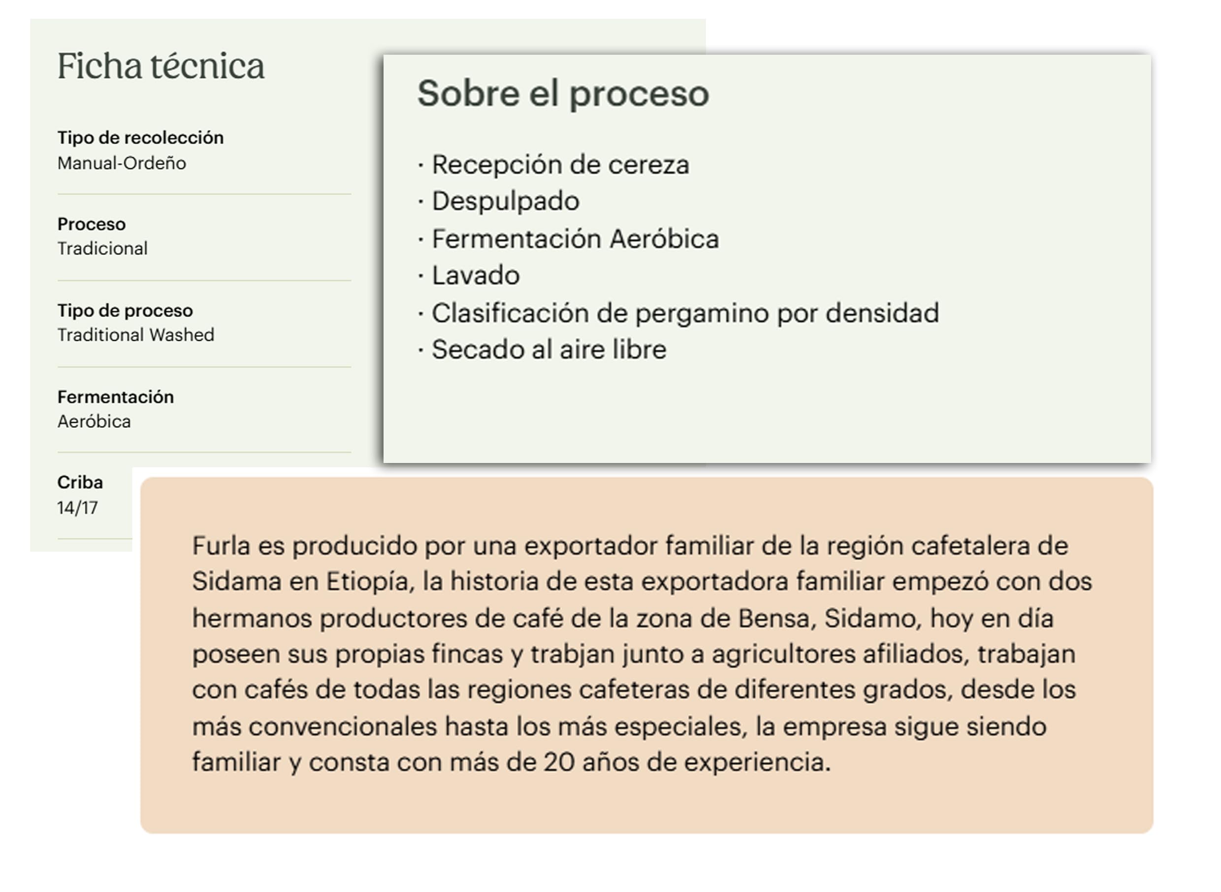 Quality Roasters Coffees. Café en Grano Tostado de Especialidad. Origen Único Etiopía Sidamo. Proceso Natural Tueste Medio. Tostado Artesanal. (1 Kg)