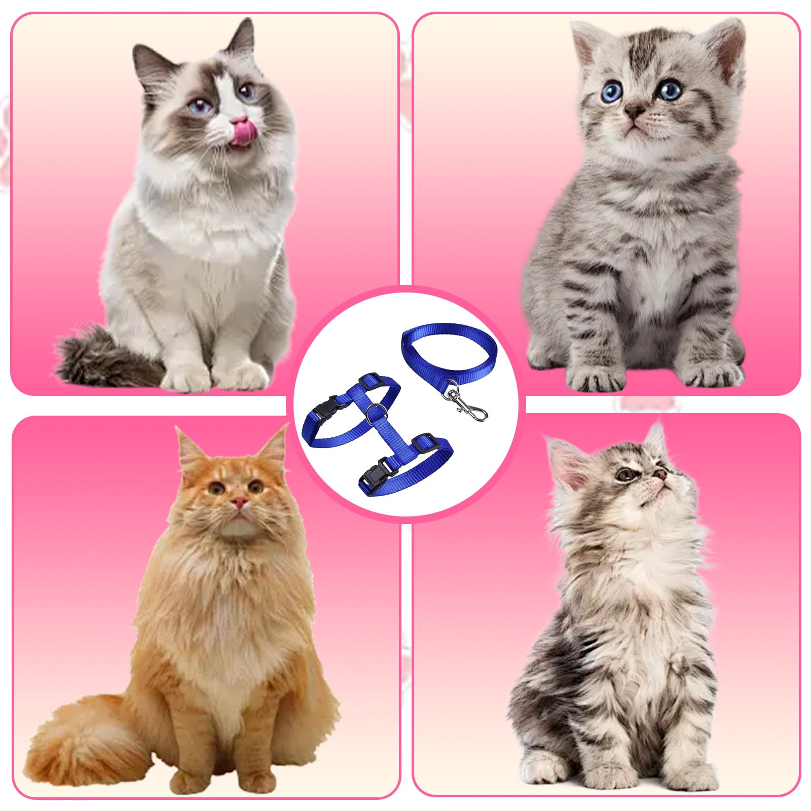 Pettorina per Gatti con Guinzaglio,Guinzaglio per Gatti Cordino Comodo Allungabile Regolabile Imbragatura,Corda di sicurezza per gatti e gattini,blu