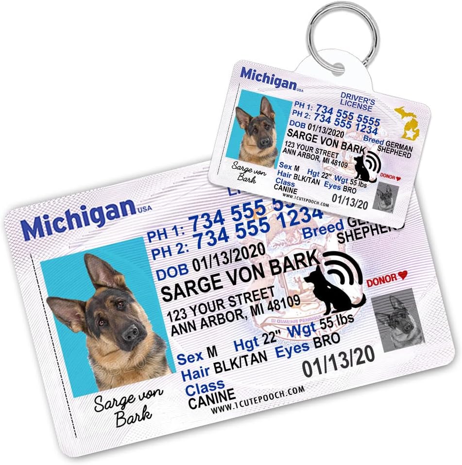 Michigan Driver License Custom Dog Tag for Pets and Wallet Card – Personalized Pet ID Tags – Dog Tags for Dogs – Dog ID Tag – Personalized Dog ID Tags – Cat ID Tags – Pet ID Tags for Cats